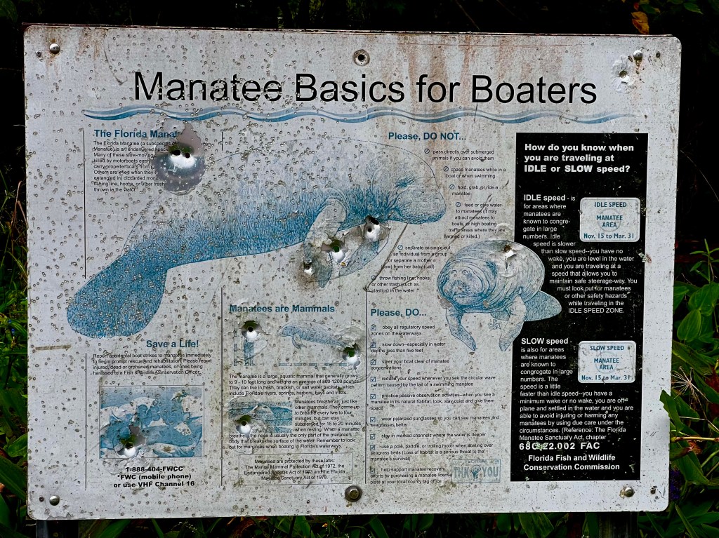 Shooting Holes in&nbsp;Stuff